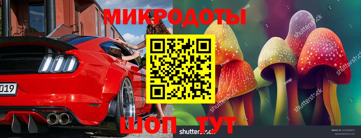 Галлюциногенные грибы мухоморы Когалым